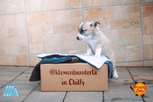 @klemenbunderla in Chilly